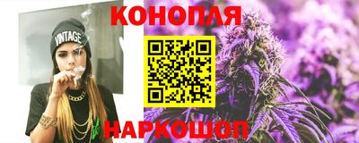 шишки Бердск